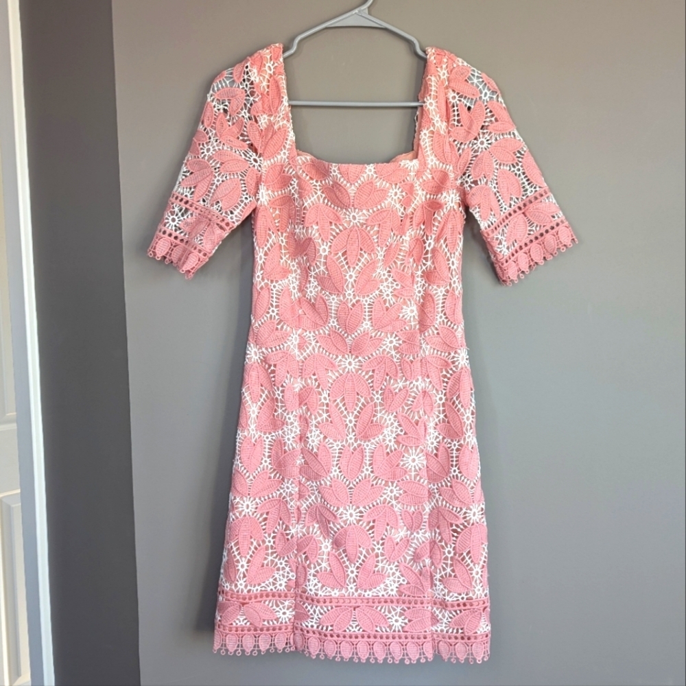 Dress the Population Pink and White Lace Mini Dress